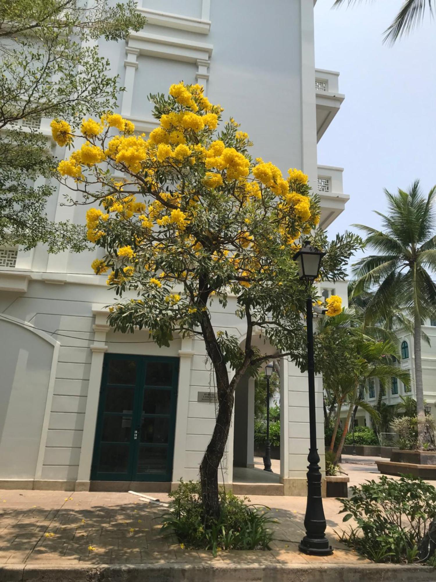 Kalia Hotel Phú Quốc Eksteriør billede